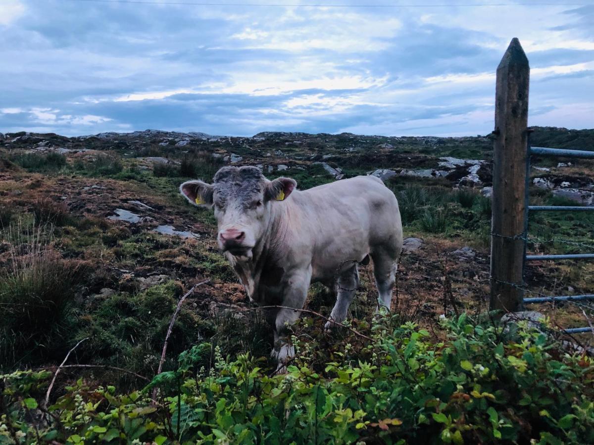 Connemara Sands Hotel & Spa Clifden Zewnętrze zdjęcie